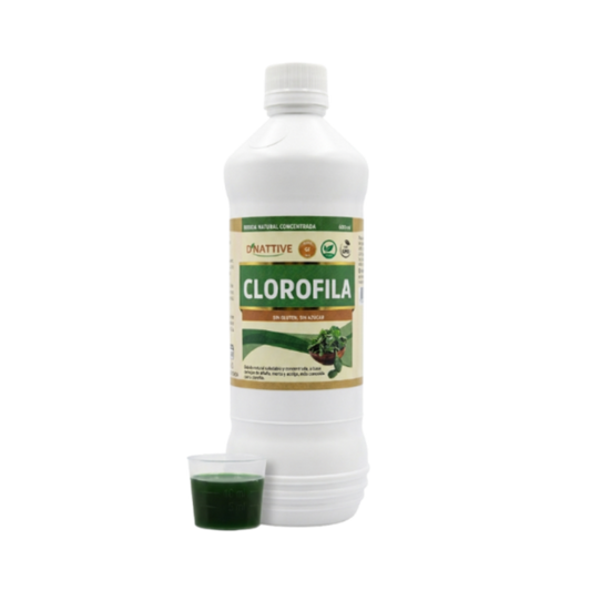 Clorofila